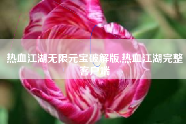 热血江湖无限元宝破解版,热血江湖完整客户端