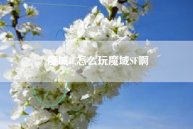 魔域sf,怎么玩魔域SF啊