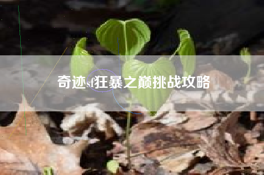 奇迹sf狂暴之巅挑战攻略