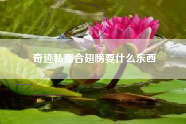 奇迹私服合翅膀要什么东西