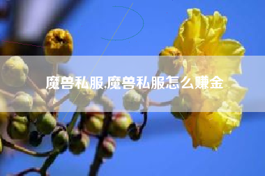 魔兽私服,魔兽私服怎么赚金