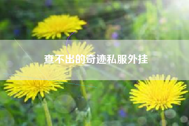 查不出的奇迹私服外挂