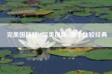 完美国际就sf,完美国际sf哪个比较经典