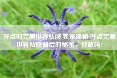 好点的完美世界私服,独家揭秘:好点完美世界私服背后的秘密，你敢吗?