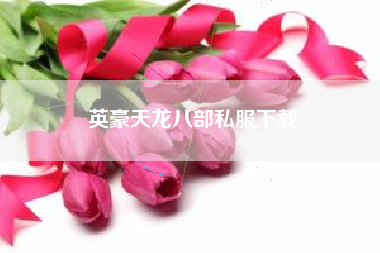 英豪天龙八部私服下载