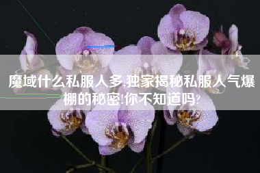 魔域什么私服人多,独家揭秘私服人气爆棚的秘密!你不知道吗?