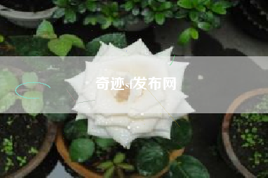 奇迹sf发布网