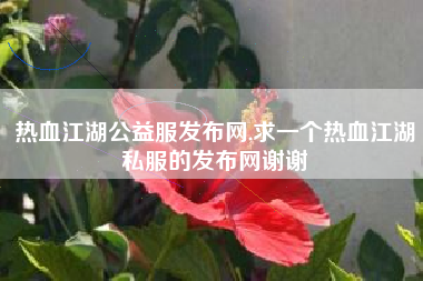 热血江湖公益服发布网,求一个热血江湖私服的发布网谢谢