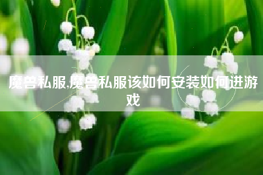 魔兽私服,魔兽私服该如何安装如何进游戏
