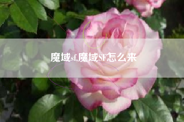 魔域sf,魔域SF怎么来