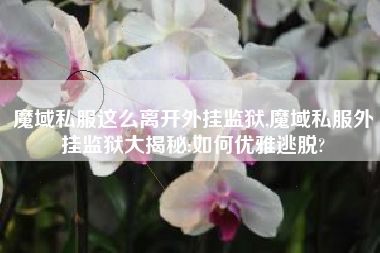 魔域私服这么离开外挂监狱,魔域私服外挂监狱大揭秘:如何优雅逃脱?