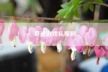 奇迹游戏私服网