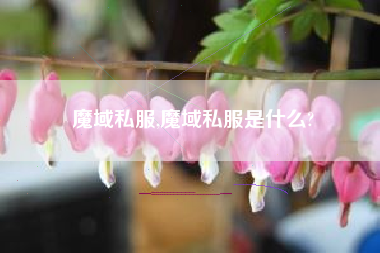 魔域私服,魔域私服是什么?