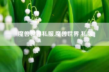 魔兽世界私服,魔兽世界 私服
