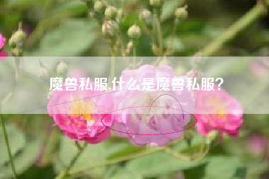 魔兽私服,什么是魔兽私服？