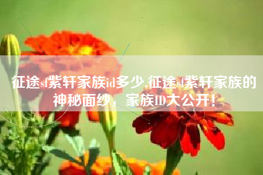 征途sf紫轩家族id多少,征途sf紫轩家族的神秘面纱,家族ID大公开!