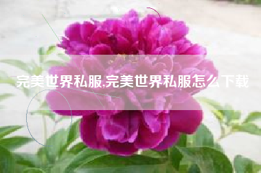 完美世界私服,完美世界私服怎么下载