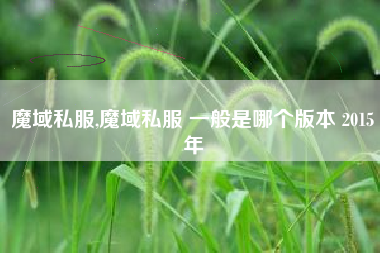 魔域私服,魔域私服 一般是哪个版本 2015年