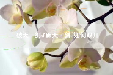 破天一剑sf,破天一剑sf如何双开