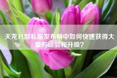 天龙八部私服发布网中如何快速获得大量的经验和升级？