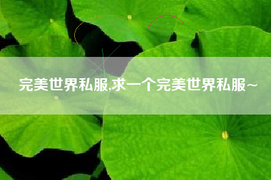 完美世界私服,求一个完美世界私服~