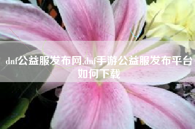 dnf公益服发布网,dnf手游公益服发布平台如何下载