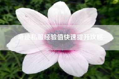 奇迹私服经验值快速提升攻略
