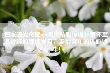 独家曝光奇迹mu游戏私服惊现!带你重温曾经的辉煌岁月,重拾当年的热血战斗!