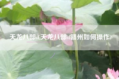 天龙八部sf,天龙八部sf赣州如何操作?