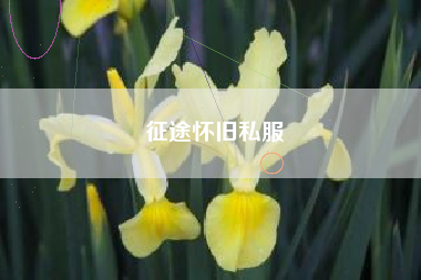 征途怀旧私服