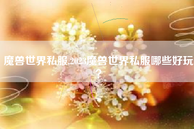 魔兽世界私服,2023魔兽世界私服哪些好玩？