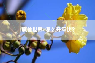 魔兽世界sf怎么升级快？
