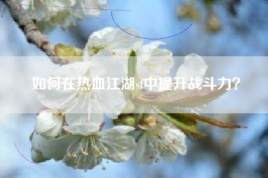 如何在热血江湖sf中提升战斗力？