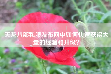 天龙八部私服发布网中如何快速获得大量的经验和升级？