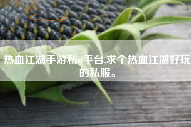 热血江湖手游私sf平台,求个热血江湖好玩的私服。