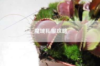魔域私服攻略