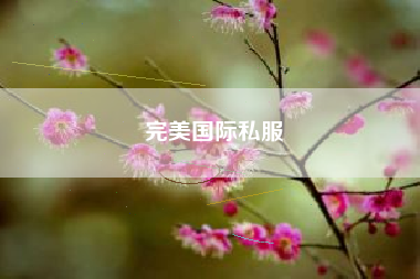 完美国际私服