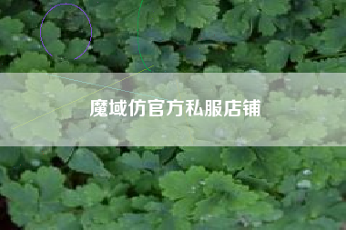 魔域仿官方私服店铺