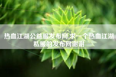 热血江湖公益服发布网,求一个热血江湖私服的发布网谢谢