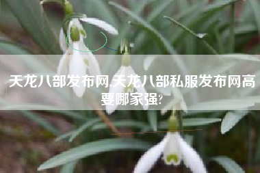 天龙八部发布网,天龙八部私服发布网高要哪家强?
