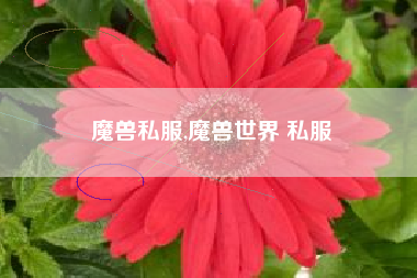 魔兽私服,魔兽世界 私服