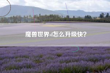 魔兽世界sf怎么升级快？