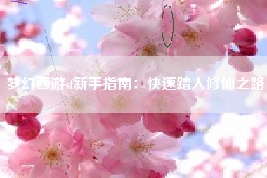 梦幻西游sf新手指南：快速踏入修仙之路