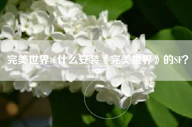 完美世界sf,什么安装《完美世界》的SF？？