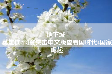 地下城 
英雄连2阿登突击中文版查看国时代4国家崛起