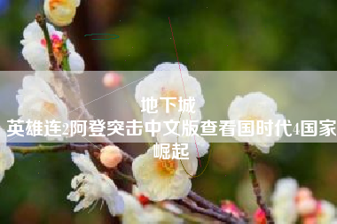 地下城 
英雄连2阿登突击中文版查看国时代4国家崛起